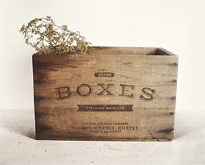 Vintage Boxes MockUp | GraphicBurger